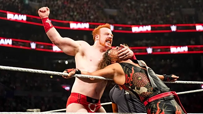 WWE Stock Report: Sheamus will never win the Intercontinental title