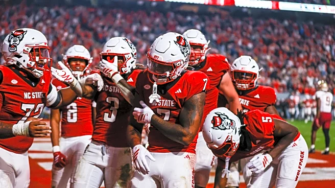 Highlights! We’re just watching the punt again, mostly