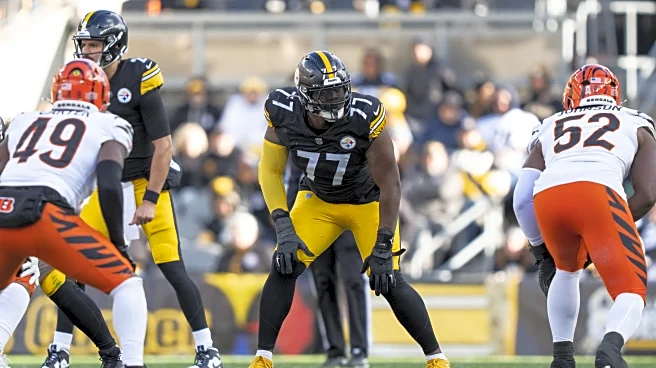 3 Steelers injured in loss to Bears