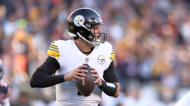 Steelers have officially choked away AFC North lead in loss to Bears