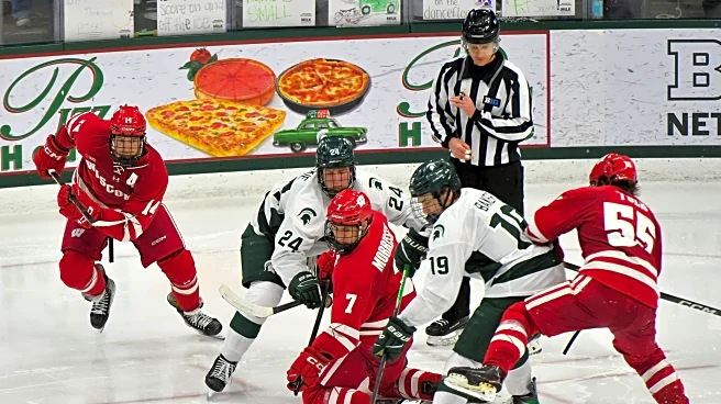 Michigan State Hockey Swept at Home