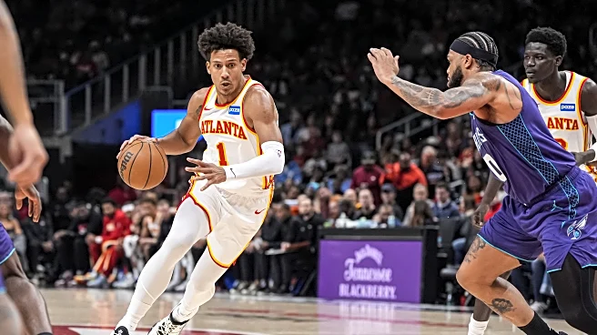 Hawks rally late to recover victory from Hornets