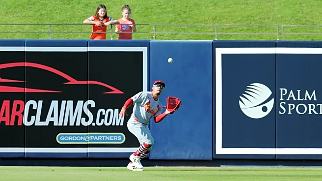 Meet the the new addition to the 40 man: Bryan Torres