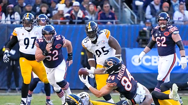 The Bear’s Den, November 25, 2025