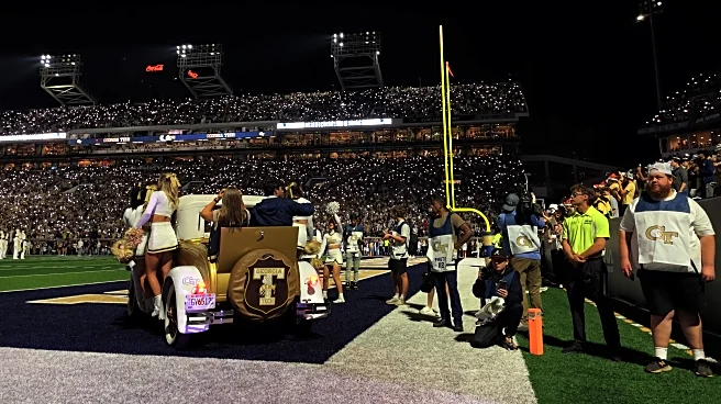 Tuesday Thoughts 11/25: Perennial