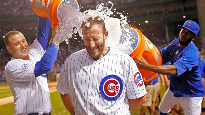Cubs walkoff heroes: Chris Denorfia, Sept. 28, 2015