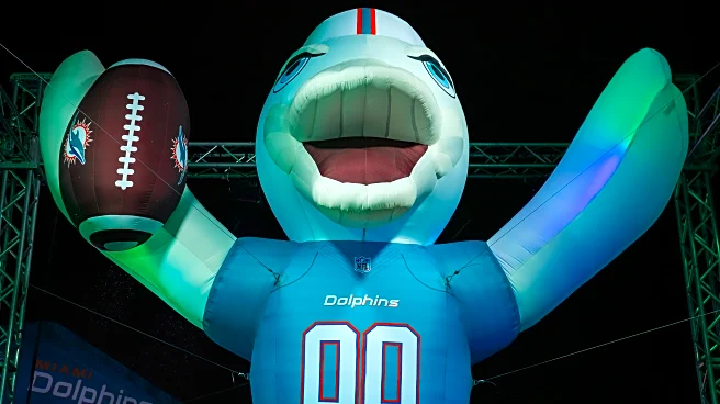 Will Miami Dolphins fan confidence continue to grow as team prepares to face New Orleans Saints?