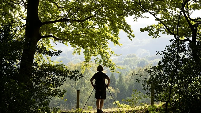 The Hoddle of Coffee: Tottenham Hotspur news and links for Wednesday, November 26