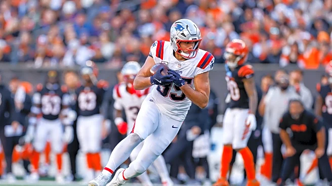 Patriots position grades from win over Bengals in NFL Week 12