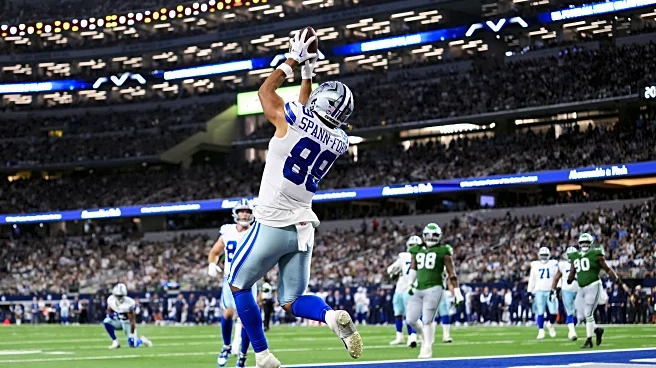 Minnesota Golden Gophers in the NFL: Week 12