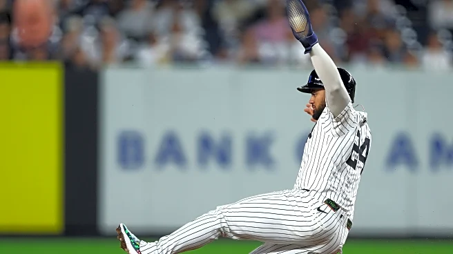 Yankees International Winter Ball Roundup