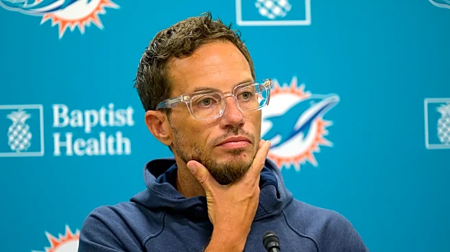 Can the Dolphins make the playoffs this season?