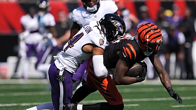 Bengals vs. Ravens Injury Report: Kyle Hamilton in, Tee Higgins and Trey Hendrickson out