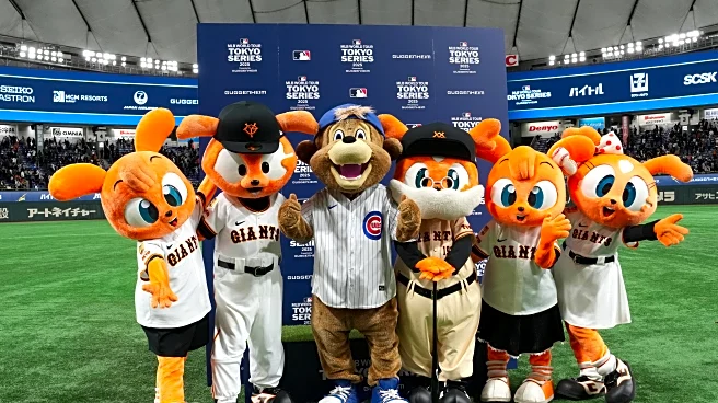 Cubs BCB After Dark: What are Cubs fans thankful for?