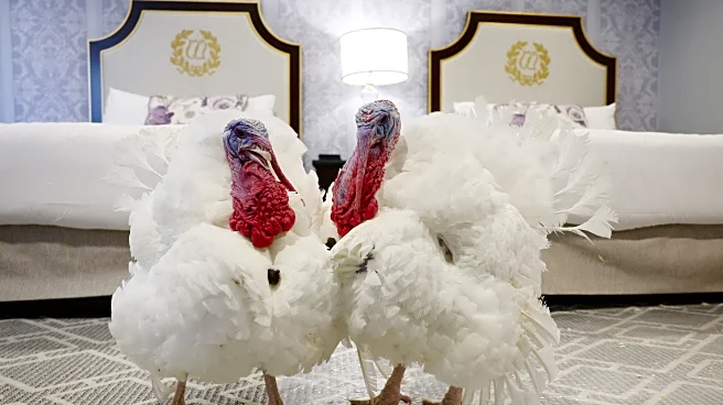 New York Jets Flight Connections 11/27/25