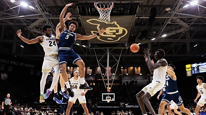 Colorado Buffaloes vs. San Francisco Dons – Game Post