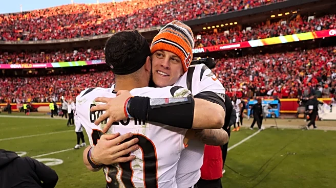 5 Bengals vs. Ravens Questions with Baltimore Beatdown