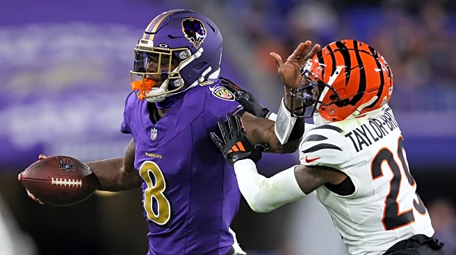 Baltimore Ravens vs. Cincinnati Bengals Week 13: Thanksgiving Game Thread