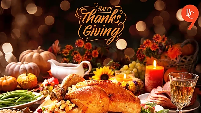 Snake Bytes 11/27: Happy Thanksgiving!