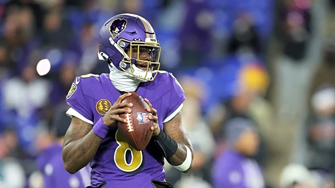 Steelers vs. Ravens: 5 questions with the enemy ahead of Week 14