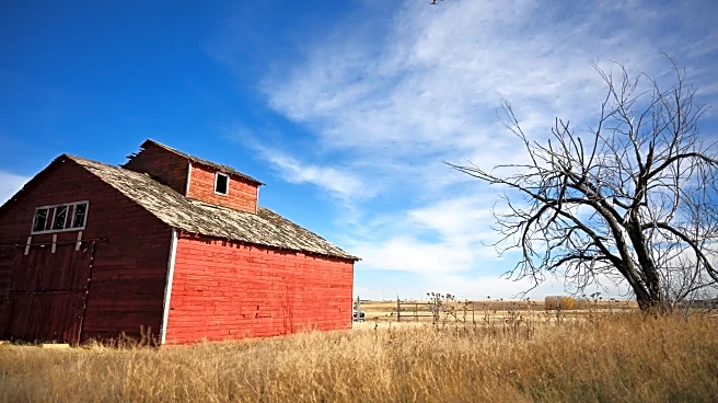 The Link Farm: 12.5.2025