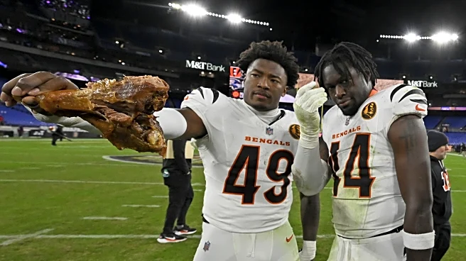 Bengals moving up in latest NFL Power Rankings