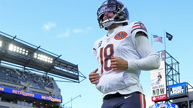 Reacts Results: Most NFL fans think the Bears will win the NFC North