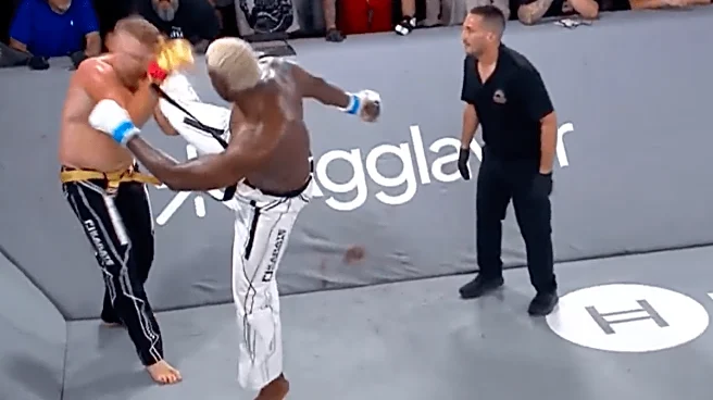 Karate Combat 58 video: Robelis Despaigne viciously knocks out Sam Alvey to win heavyweight title