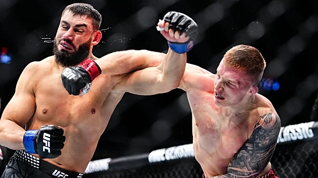 Highlights! Iwo vs. Ibo epic ‘bar fight’ might be the greatest 90 seconds in UFC history | UFC 323