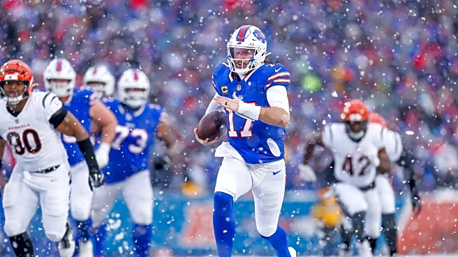 Buffalo Bills vs. Cincinnati Bengals Week 14 snap counts