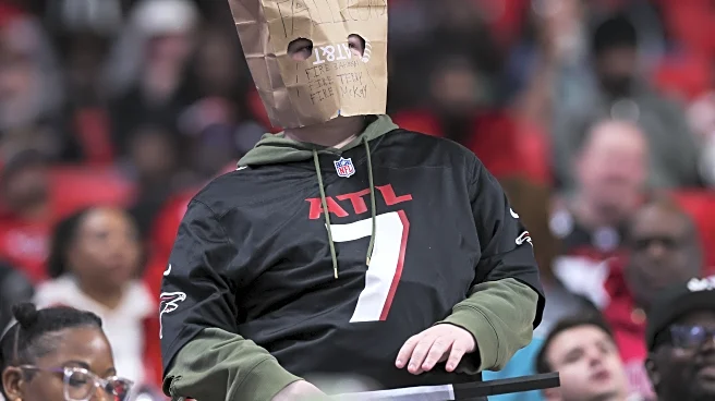 Enemy Reaction 2025: Atlanta Falcons