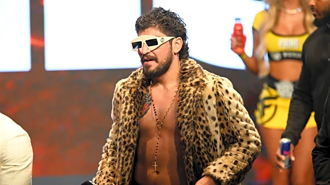 Dillon Danis requests delay in deposition for Nina Agdal lawsuit after suffering ‘severe concussion’ during UFC 322 brawl