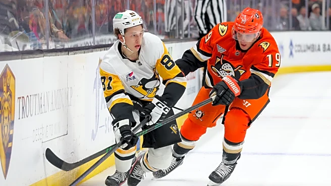 Pens Points: Home for Five