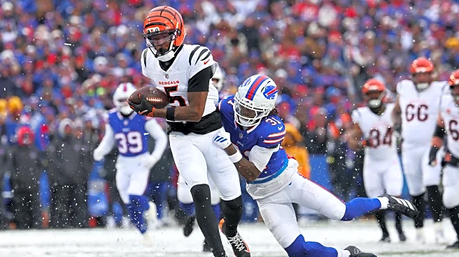 Former Bengals captain compares Tee Higgins to Randy Moss