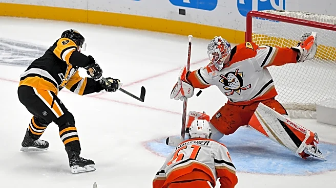 Game Preview: Anaheim Ducks @ Pittsburgh Penguins 12/9/25