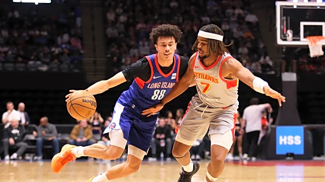 Long Island Nets, with three Brooklyn rookies, lose to Skyhawks