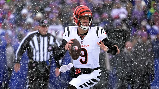 Bengals vs. Ravens odds for NFL Week 15