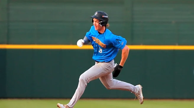 Polarizing Prospects: #1, Henry Bolte