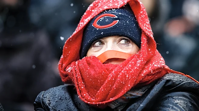 Bears and Browns set to play in Arctic temperates on Sunday