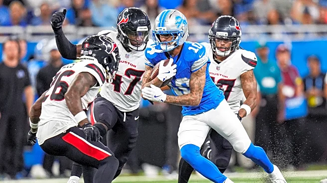 Lions add veteran safety, waive another TE