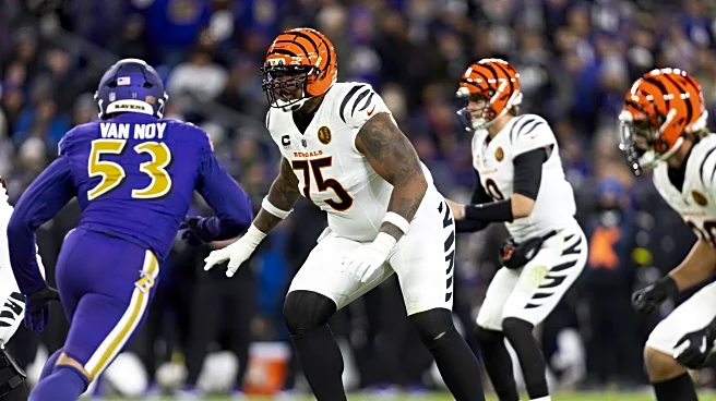 Bengals News: Ascending Offensive Line