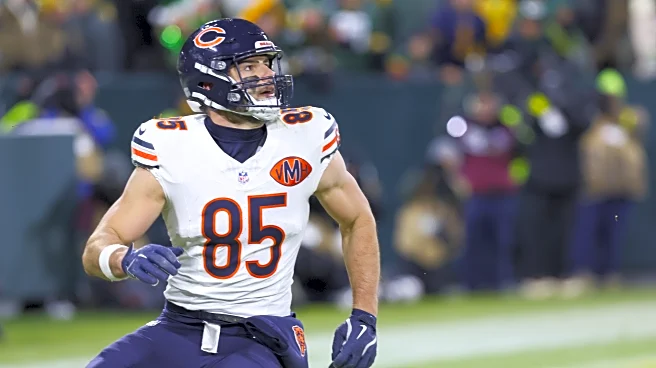 The Bear’s Den, December 11, 2025