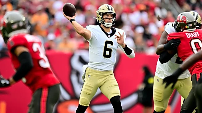 Our defense vs. their offense: Carolina Panthers