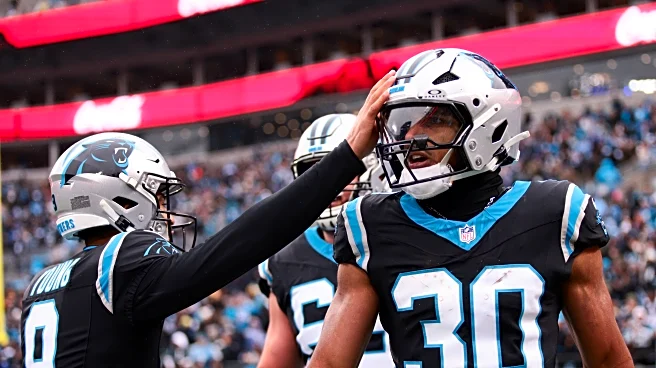 Panthers vs Saints: Offensive Preview