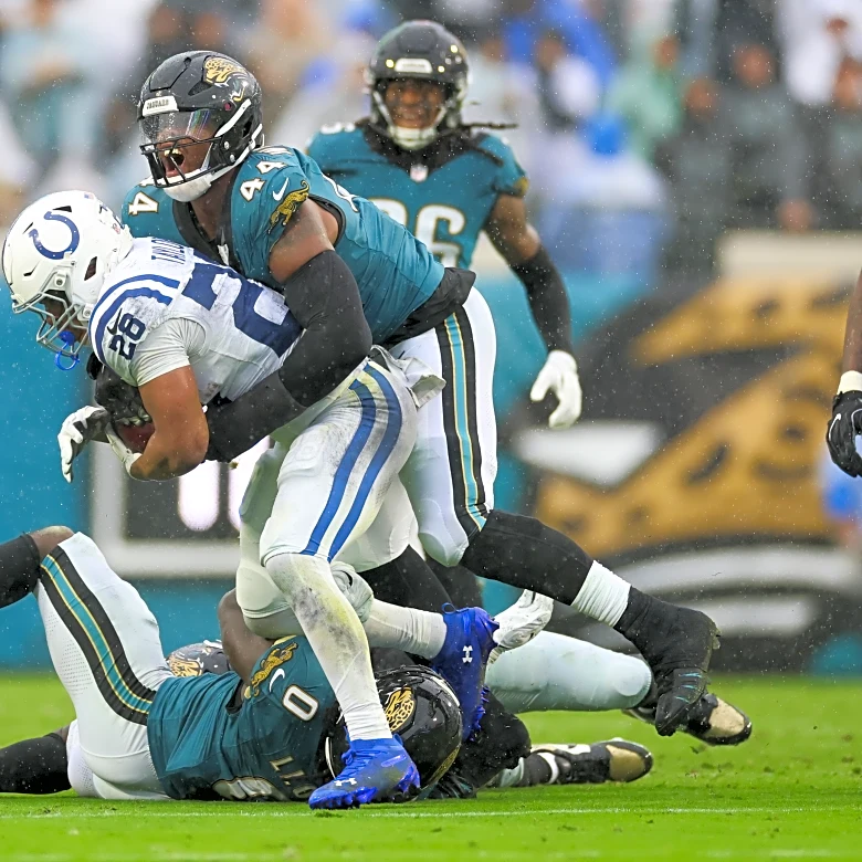 Dawgs in the NFL: More defensive standouts