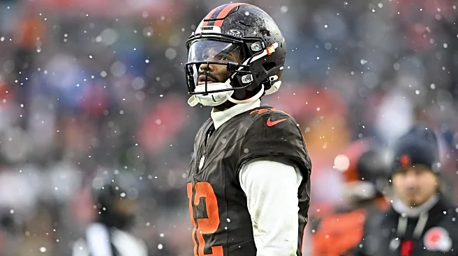 Buffs in the NFL: Sanders, Landman shine