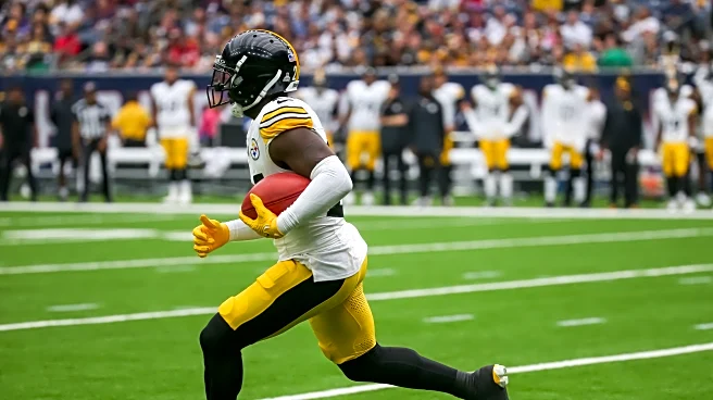 Former Steelers CB announces retirement