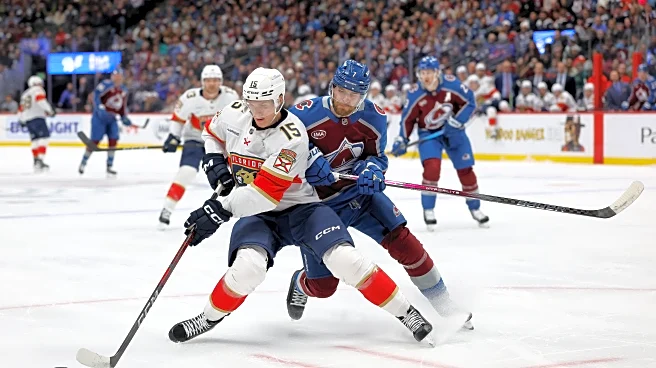 Preview: Avalanche welcomes Panthers to Denver