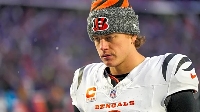 Dan Orlovsky urges Steelers to try and trade for Joe Burrow