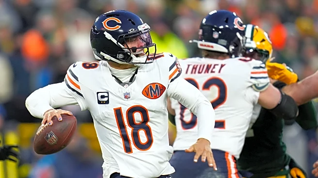 Browns vs. Bears Week 15 predictions, weather: Arctic temperatures expected